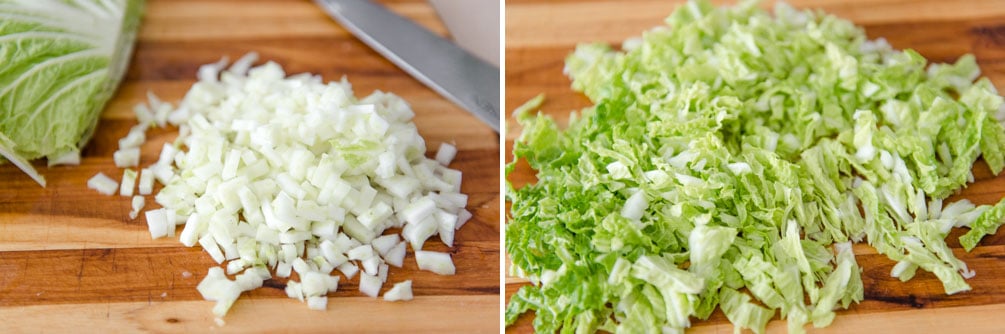 Sliced and diced napa cabbage