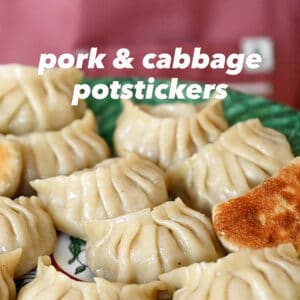 Pork Cabbage Potstickers