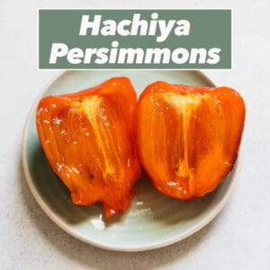 hachiya persimmons