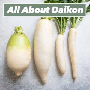 All about daikon